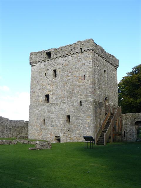 Věž