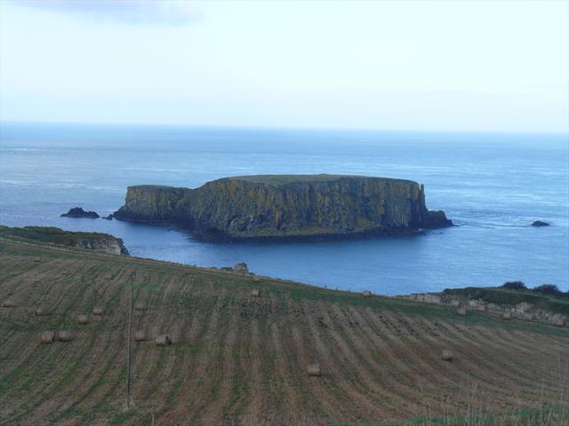 Sheep Island