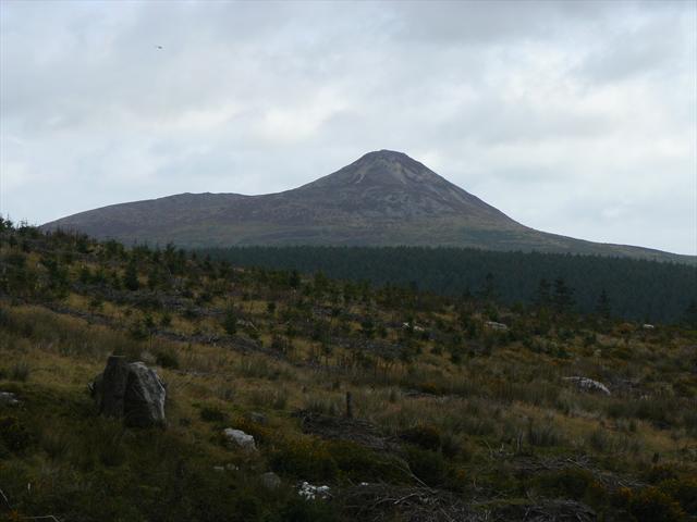 Sugar Loaf