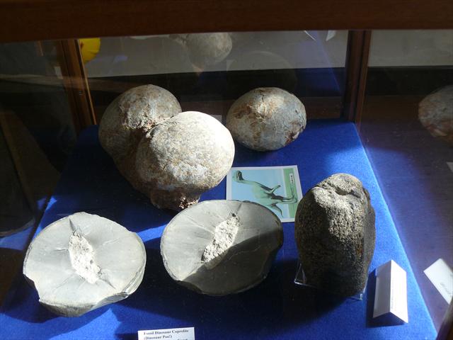 Dinosauří vejce v muzeu